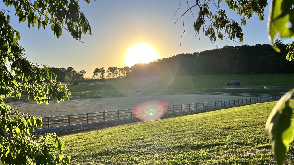 site selection sunset photo