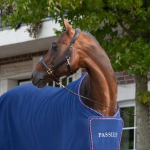 Passier®️ Leather Stable Halter