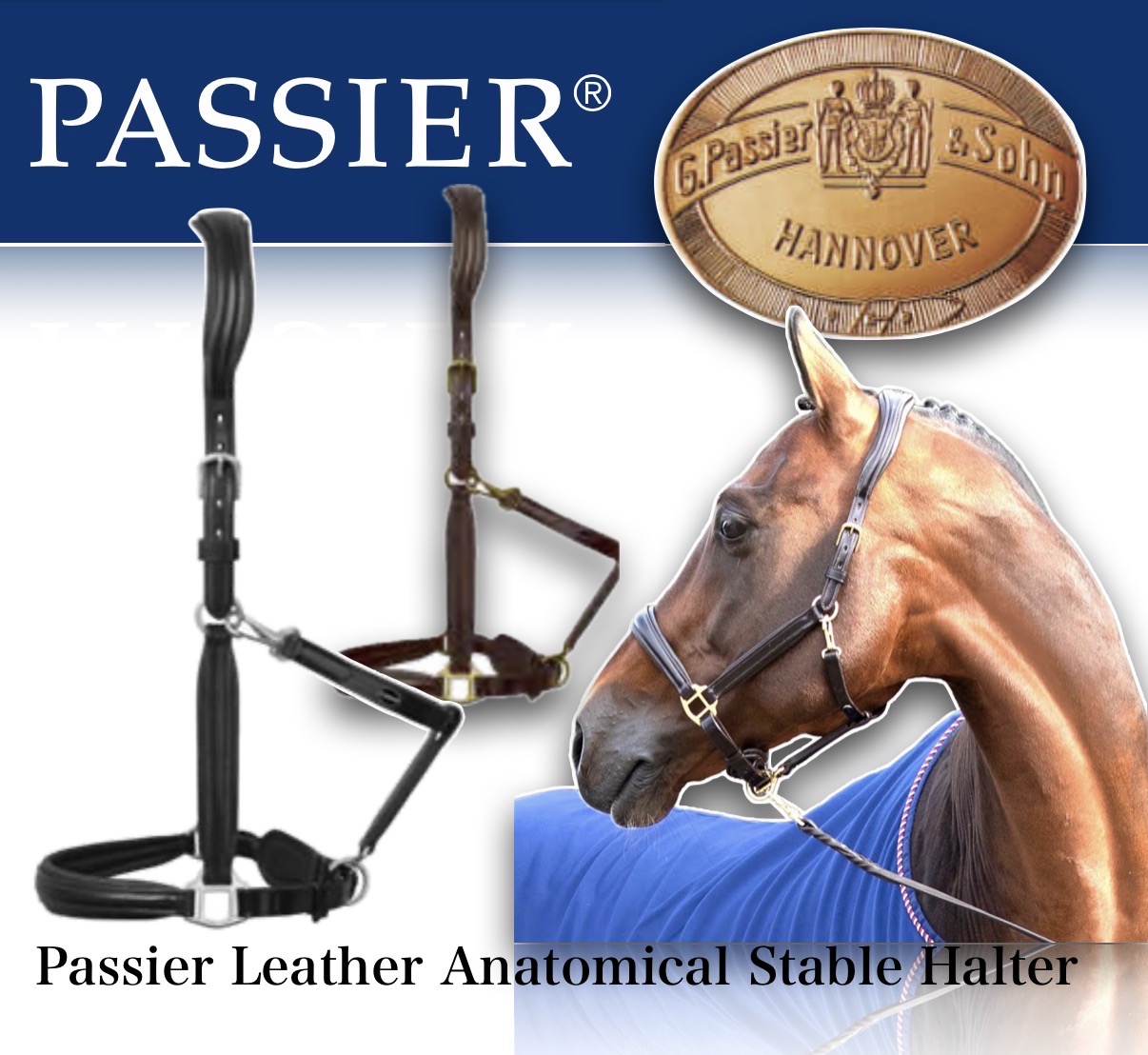 Passier®️ Leather Stable Halter - Image 3