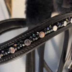 DressurSPORT “Silver Drops n’ Rainbows Browband